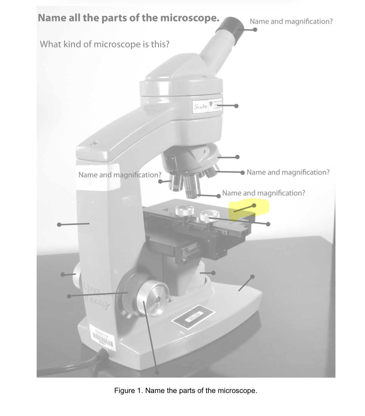 term image