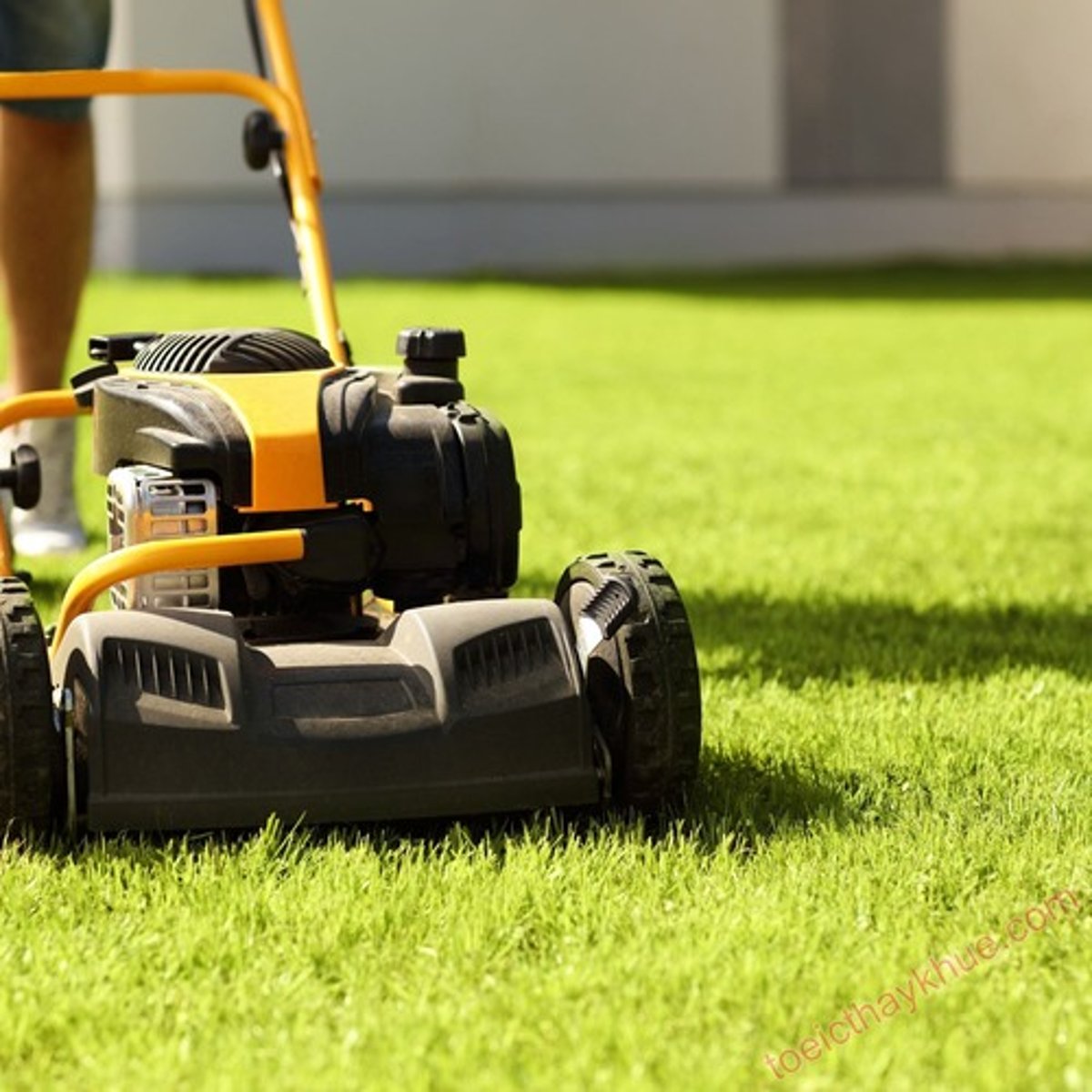 <p>cắt cỏ</p>