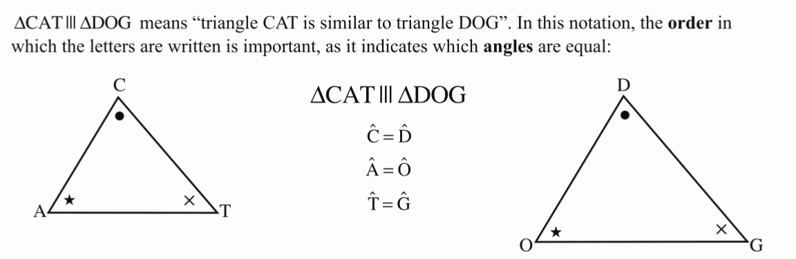 <p><span data-name="small_red_triangle" data-type="emoji">🔺</span>CAT///<span data-name="small_red_triangle" data-type="emoji">🔺</span>DOG</p>