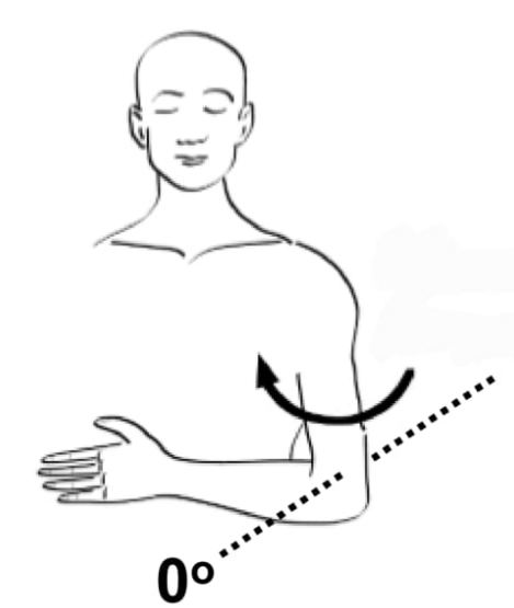 <p>Shoulder internal rotation</p>