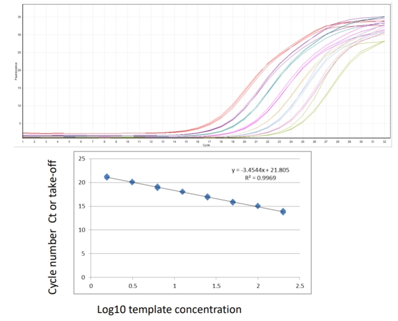 <p>Samples calculated against a standard curve of known concentration. Allows quantification as copy number, takes some variability into account, requires more reagents and a known standard. Plasmid DNA containing product, no RT step so efficiencies may be different, in-vitro transcription to generate specific mRNA – RT, costly. What is a <span>standard curve</span> and why is it necessary? Real time PCR conducted across a series of serially diluted template/samples tells you what the dynamic (linear) range of the assay is and allows calculation of efficiency.</p>