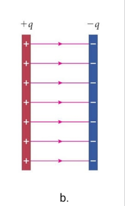 <p>1) The field lines must be tangent to the direction of the field line at any point</p><p>2) the greater the line density the greater than magnitude of the field</p><p>3) lines ALWAYS START FROM POSITIVELY CHARGED OBJECTS AND END ON NEGATIVELY CHARGED OHJECTS</p><p>4) Lines never cross </p>