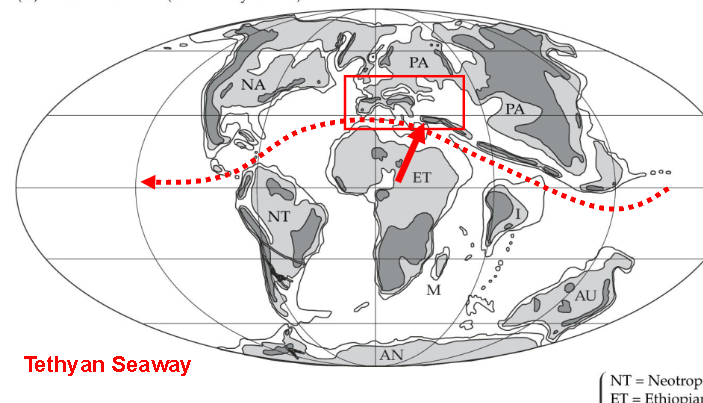 <p>tethyan seaway was cut off by retreat of oceans</p>