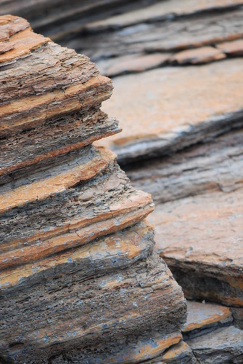 <p>occurs when eroded sediments are dropped in another location, ending the process of erosion<br><br>ocurre cuando los sedimentos erosionados se trasladan a otra ubicación y se quedan ahí, poniendo así fin al proceso de erosión</p>