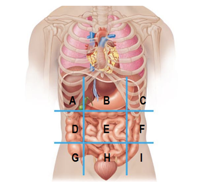 <p>B </p>