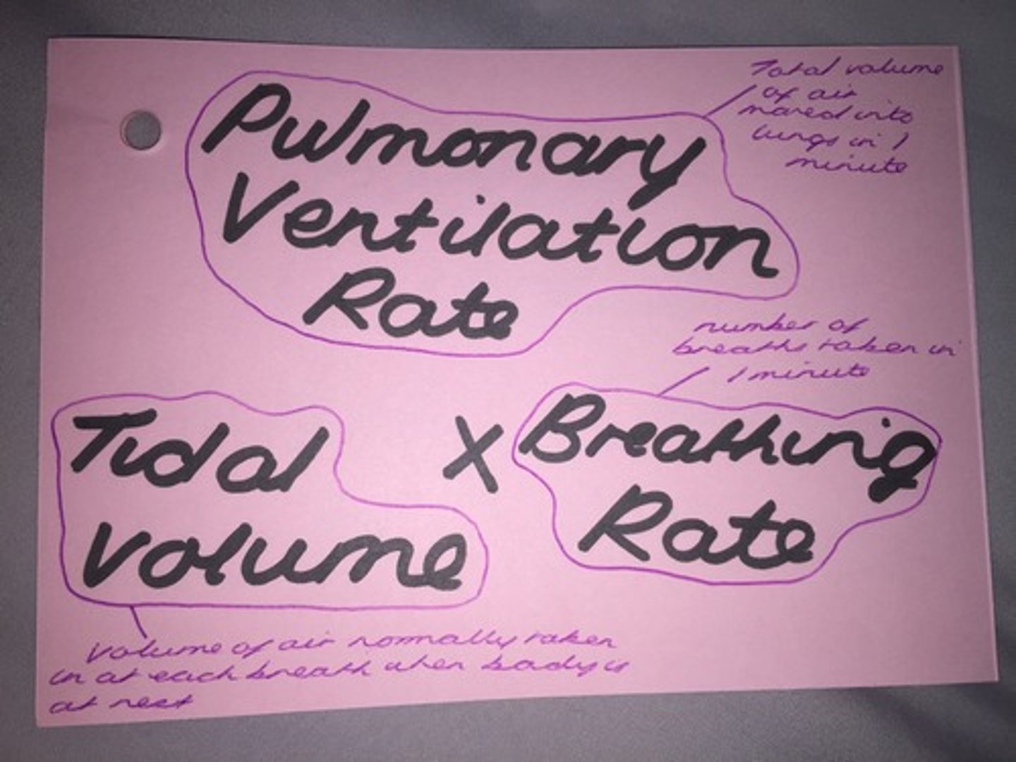 <p>Pulmonary ventilation = tidal volume x ventilation rate</p><p>dm3min-1 dm3. min-1</p>