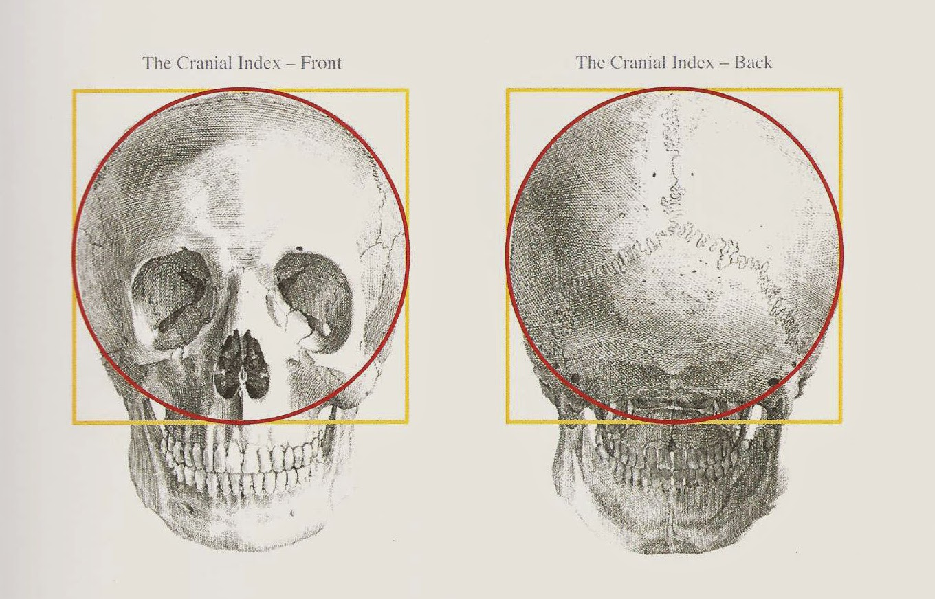 <p>What is this index<strong> </strong>= Cranial breadth/Facial breadth x 100</p>