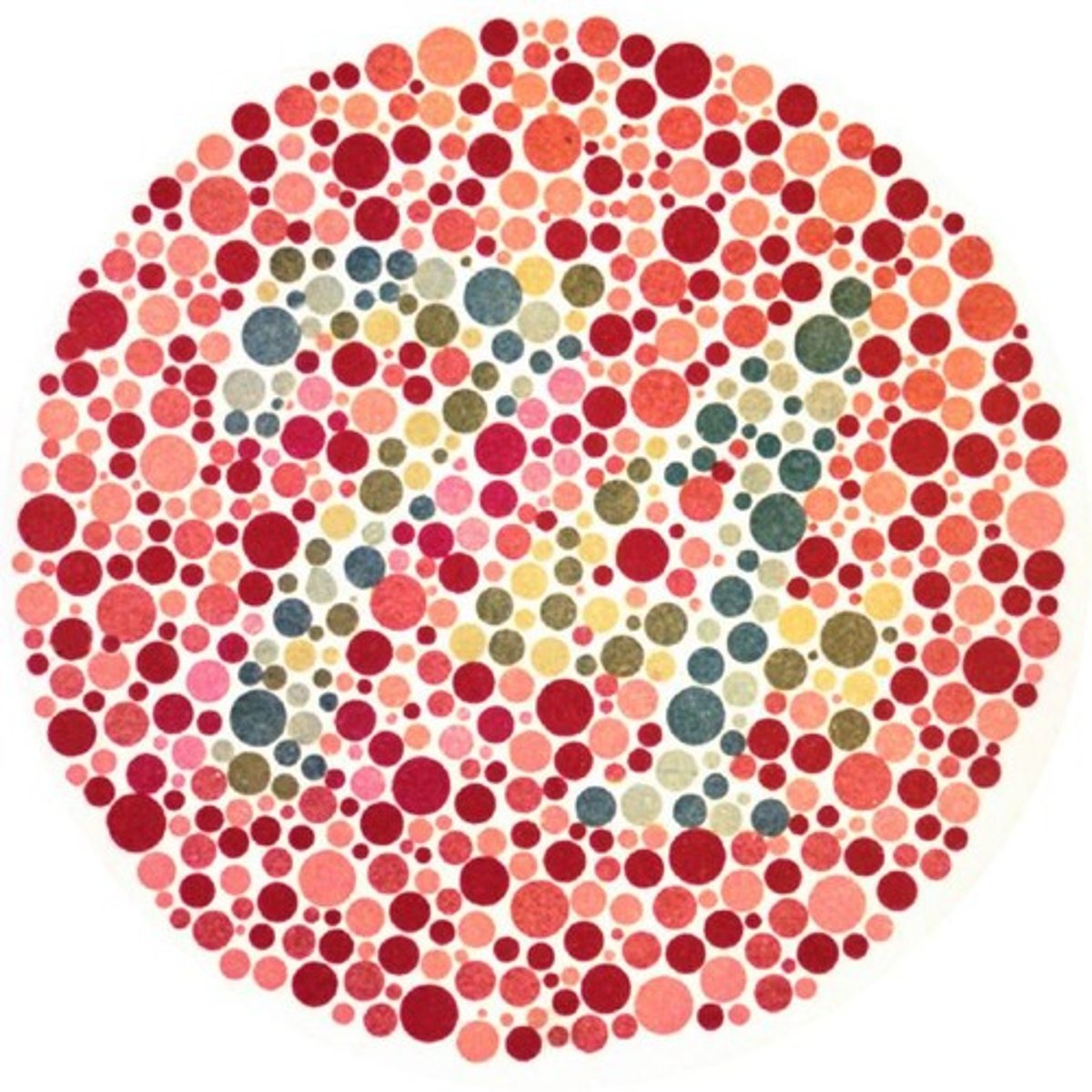 <p>Genetic condition affecting color perception.</p>