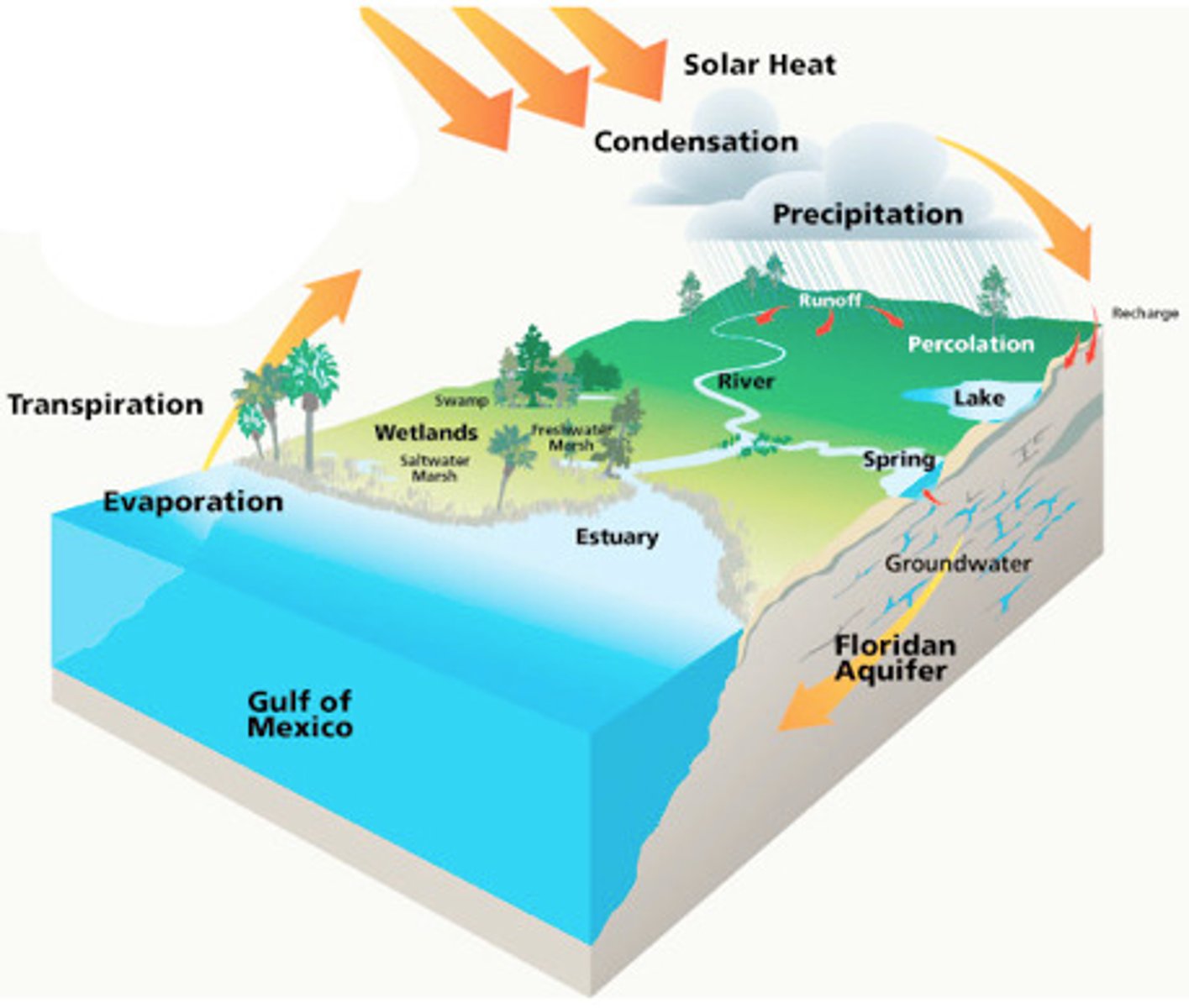 <p>Evaporation</p><p>Transpiration</p><p>Evapotranspiration</p><p>Condensation</p><p>Precipitation</p><p>Infiltration</p><p>Runoff</p><p>Sublimation</p><p>Powered by the SUN</p>