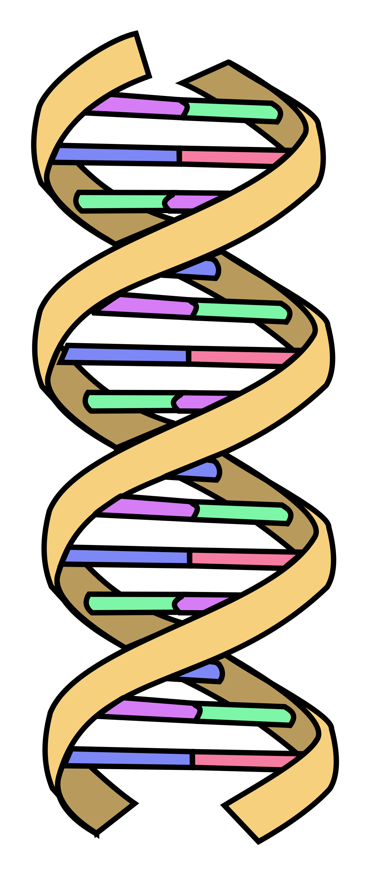 <p>its dna </p>