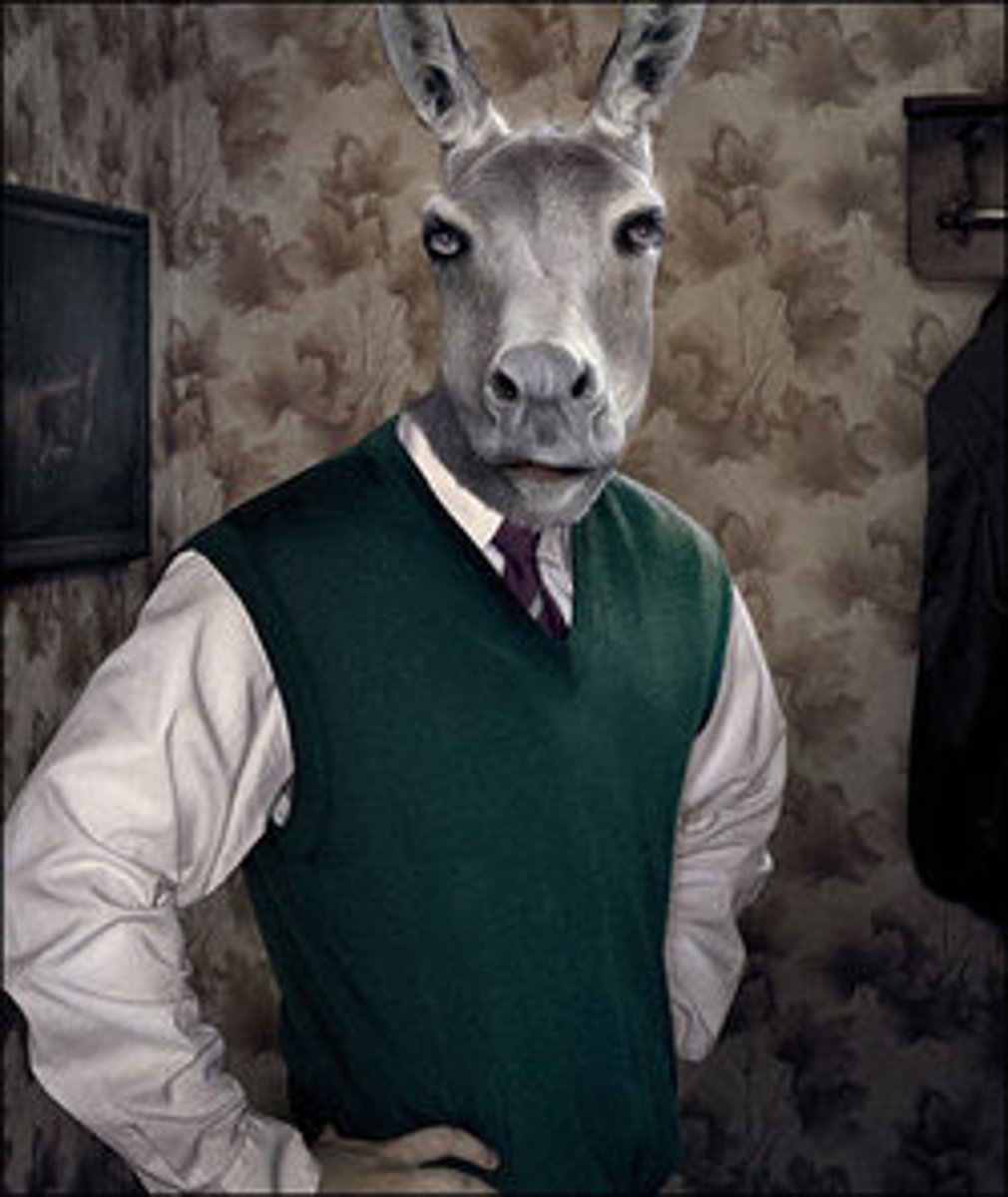 <p>Giving human characteristics to animals or non-human things</p>