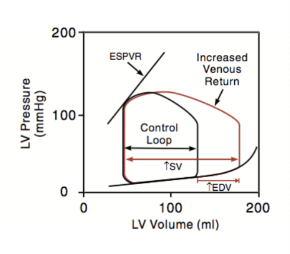 <p>left ventricular pressure vs volume</p><p>increased venous return → increased EDV (preload) → increased SV → invreased ventricular stroke</p>