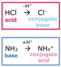 <p>product formed from reactant. eg: acid HCl donates, conjugate base Cl-</p>