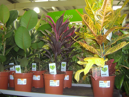 <p>Plants</p>