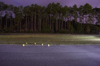 <p>Painting with Light </p>
