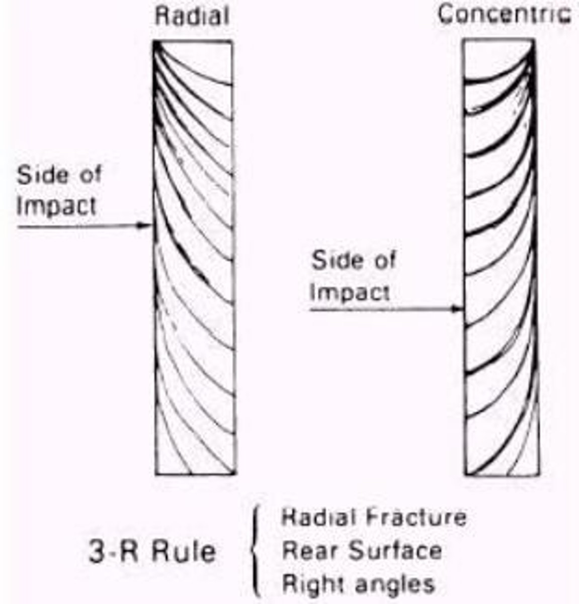 <p>Circles that form around the impact point on glass</p>
