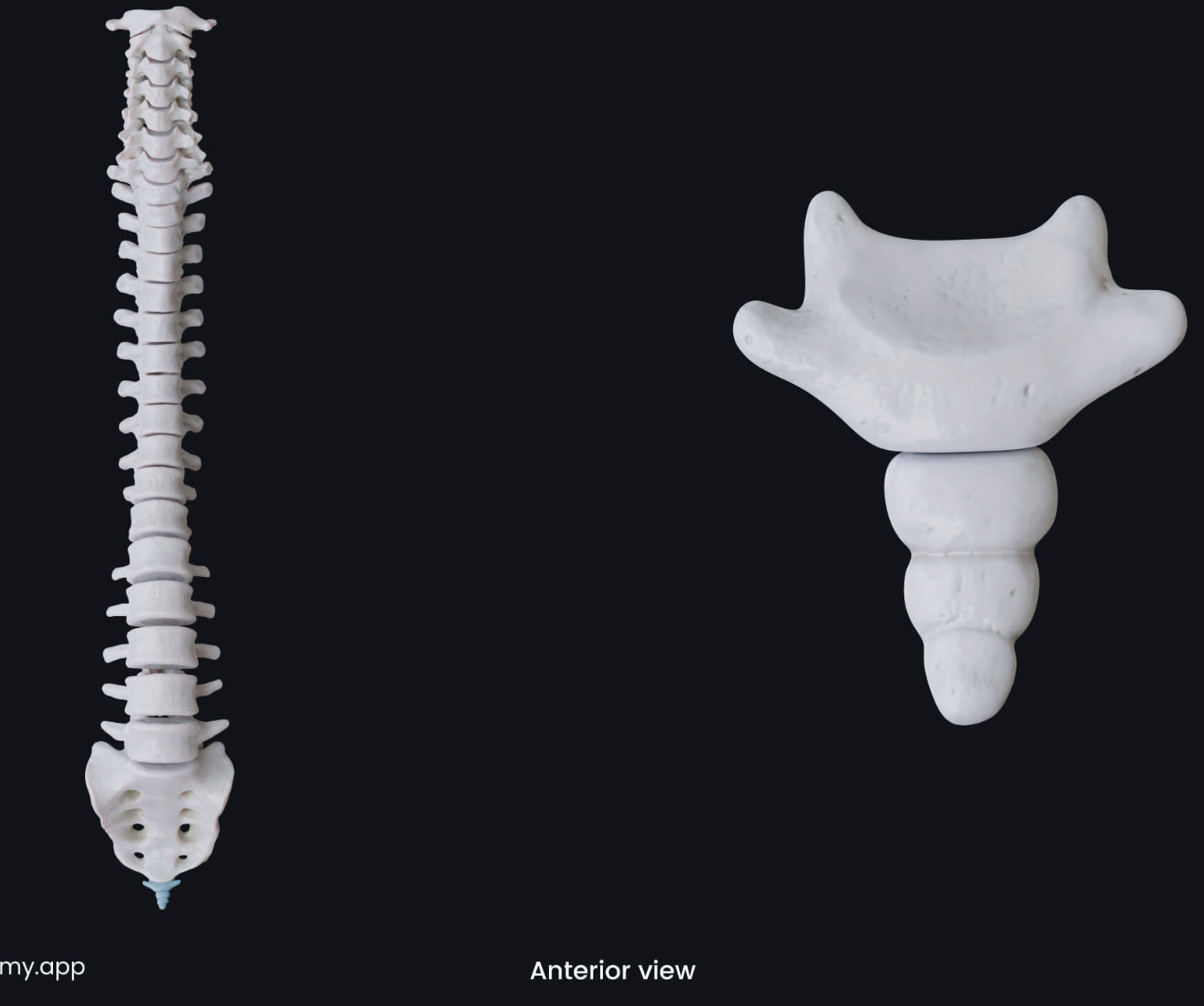 knowt flashcard image