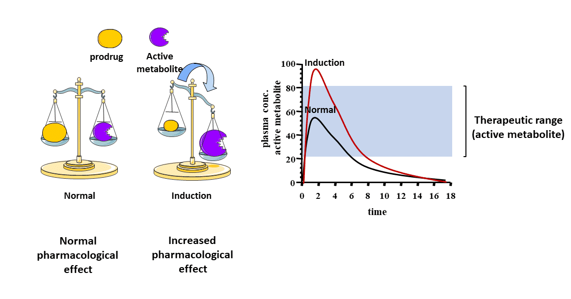 <ul><li><p>Active Metabolize</p></li><li><p>Thus providing Longer drug action and increased efficacy.</p></li></ul><p></p>