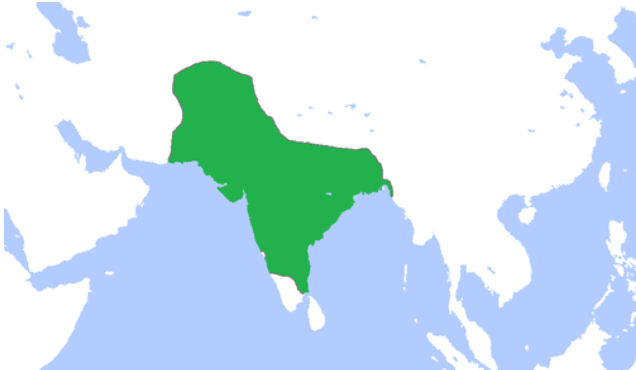 <p><span>Muslim state (1526-1857) exercising dominion over most of India in the sixteenth and seventeenth centuries.</span></p>