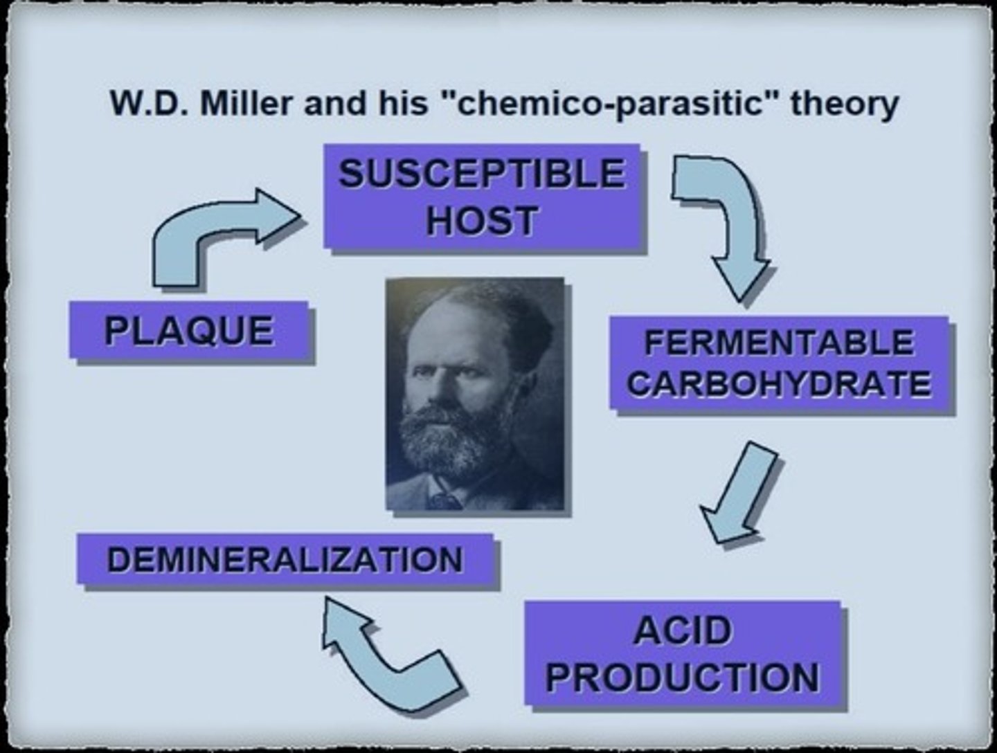 <p>Proposed by Miller in 1890, stating that caries is caused by acids produced by oral bacteria following the fermentation of sugar, consisting of two stages: decalcification of enamel and dissolution of softened residue.</p>