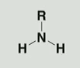 <p>Identify the functional group</p>
