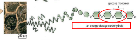 <p>What is this?</p>