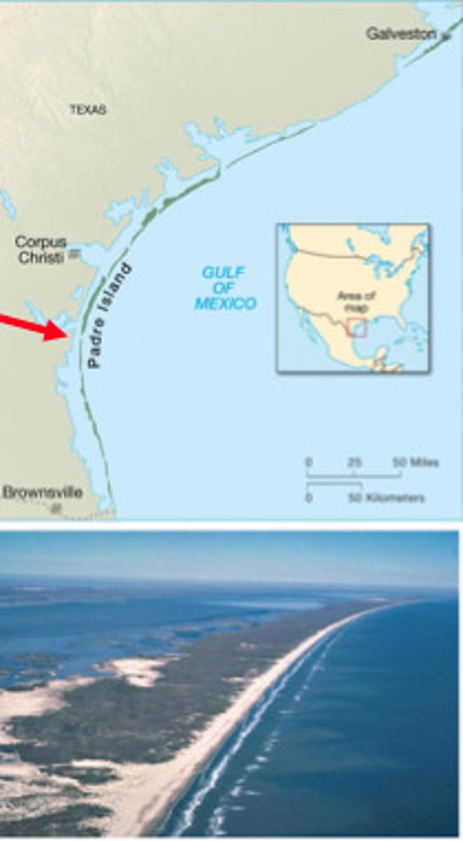 <p>Long, thin, low offshore islands of sediment that generally run parallel to the shore along some coasts.<br>provide protection from storms, waves, tides<br>Since they are made of sand, they shouldn't be built on because storms destroy buildings, about 20% in the US have been developed</p>