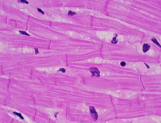 <p>What is this?</p>