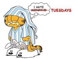 <p>Tuesday</p>