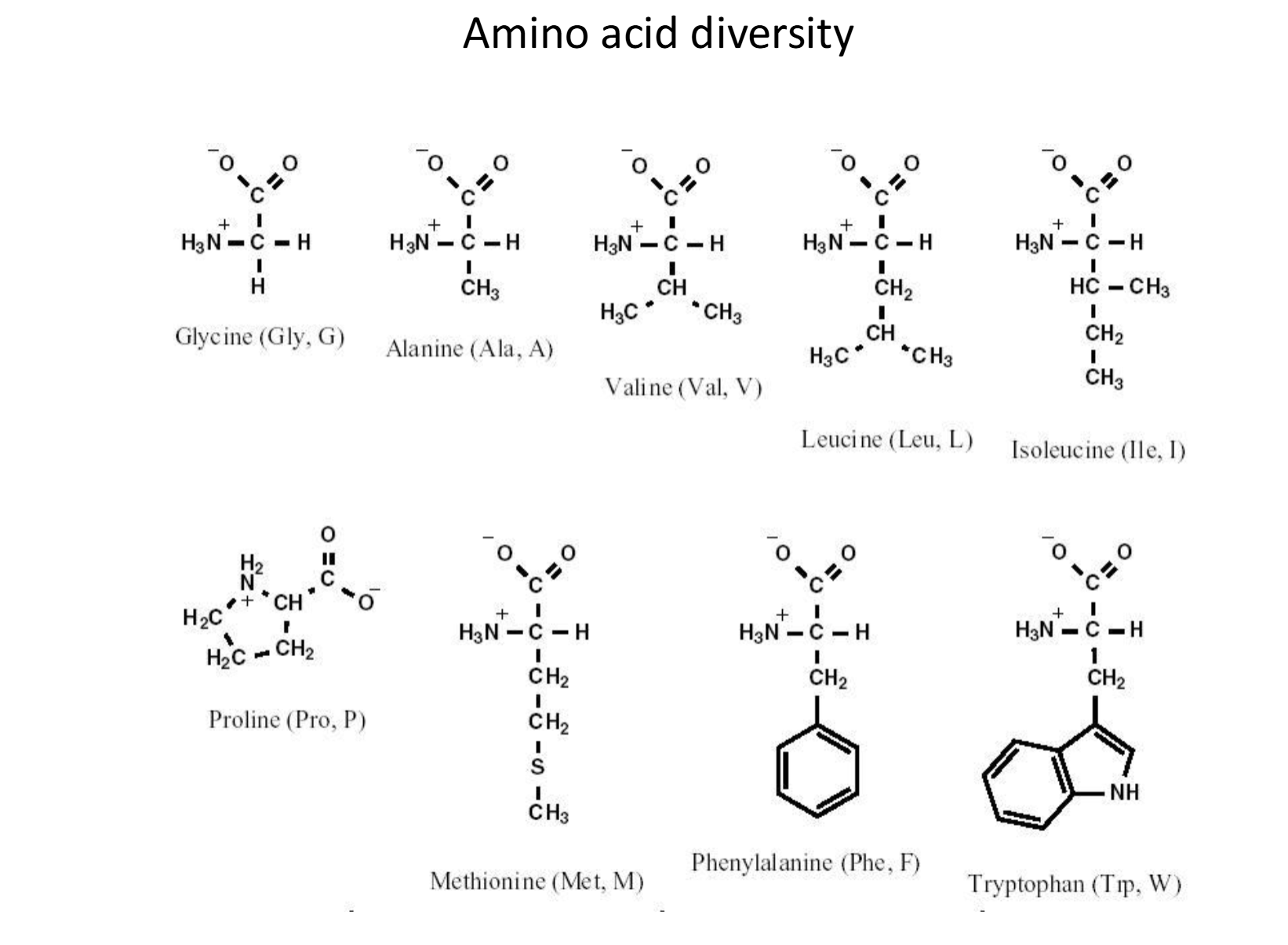 <p>-Glycine</p><p>-Alanin</p><p>-Valine</p><p>-Leucine</p><p>-Isoleucine</p><p>-Proline</p><p>-Methionine</p><p>-Phenylalanine</p><p>-Tryptophan</p>