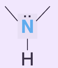 <p>Is the following lone pair involved in resonance? Can it accept hydrogen bonds?</p>