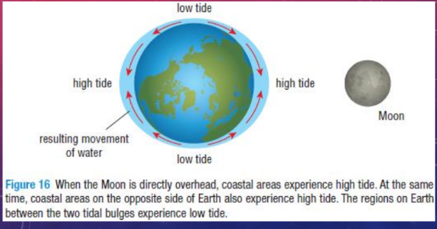 <ul><li><p>The Moon’s gravitational force pulls Earth and its oceans toward it.</p></li><li><p>This causes a bulge of water to form on the side of Earth facing the Moon.</p></li><li><p>As Earth is pulled toward the Moon, a bulge of water also forms on the opposite side of Earth, where the Moon’s gravitational force is weakest.</p></li></ul><p></p>