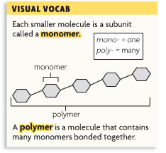 Large molecule made up of repeating smaller molecules (monomers).