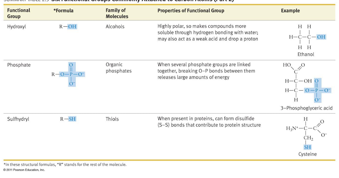 Amino

Carbonyl 

Carboxyl 

Phosphate 

Hydroxyl 

Sulfhydryl