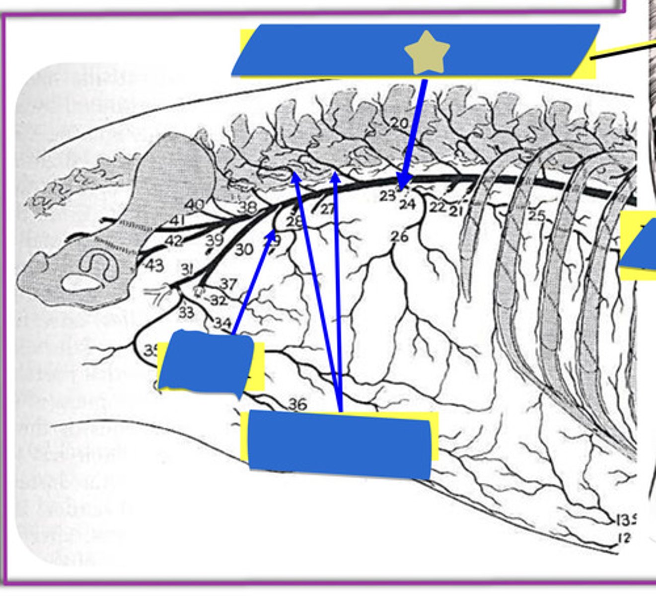 knowt flashcard image