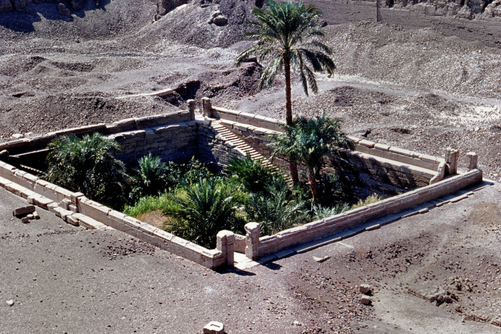 <p>11</p>