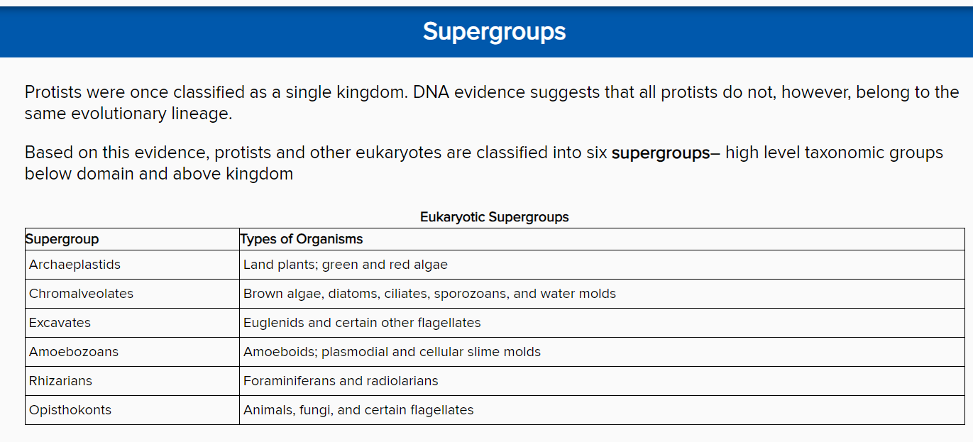<p>Supergroups </p>