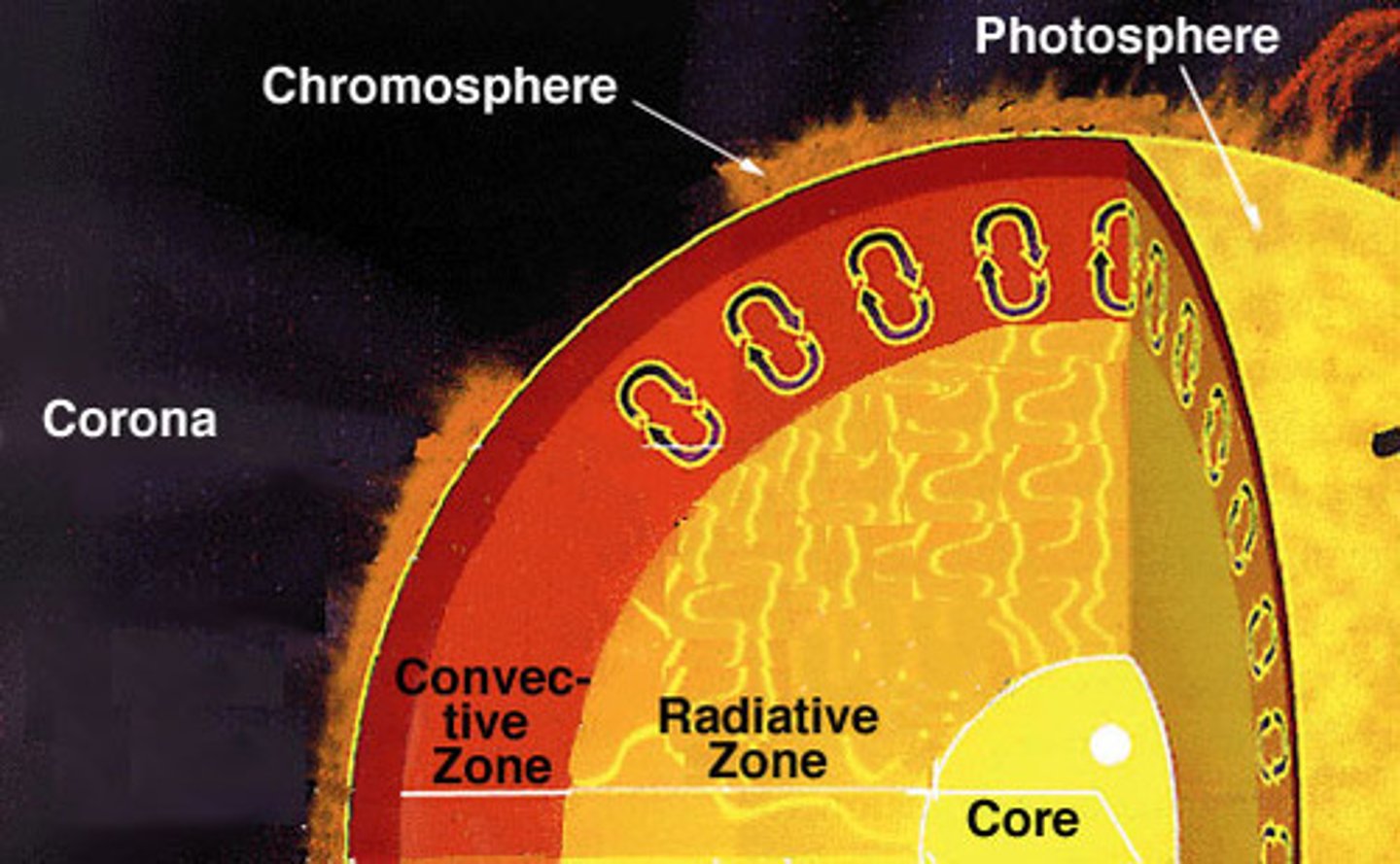 <p>- a region of the sun where gases circulate in convection currents, bringing the sun's energy to the surface<br>- Moving matter physically transports energy outward<br>- Energy is transported to this zone through movement of hot plasma, creating convection currents<br>- lifetime of convective cells = 5-10 mins<br>- hot gas rises, cool gas sinks</p>