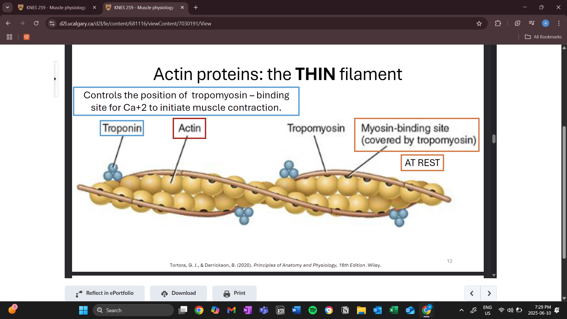 knowt flashcard image
