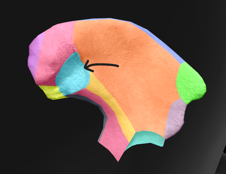 term image