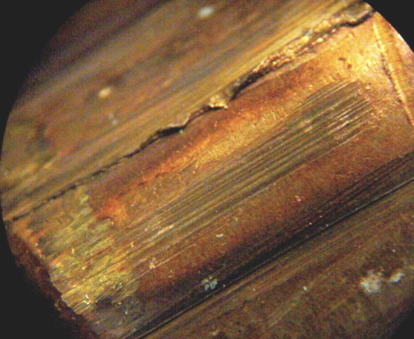 <p>Striations: Individual evidence produced by movement in the gun, cleaning or manufacturing</p><p>-Can be from magazine or chamber</p><p>-The ONLY way to get individual evidence!</p>