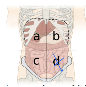 <p>What is this quadrant?</p>