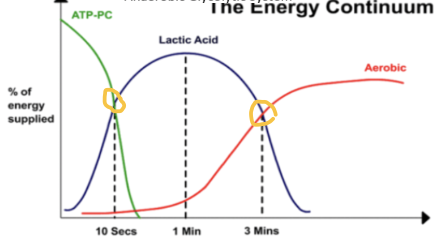 <ul><li><p>when we start exercising the demand for energy will rise rapidly</p></li></ul><ul><li><p>the energy continuum is a term used to describe which energy system is being used for different types of physical activity</p></li><li><p>it refers to the contribution that different energy systems make to the production of energy depending on the intensity and duration of exercise</p></li><li><p>the 3 energy systems don’t work independently- just one has more prominence than the others</p></li></ul><p></p>