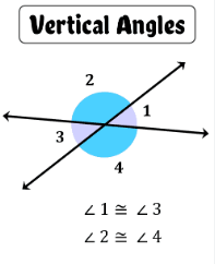 <p>2 angles that make an X</p>