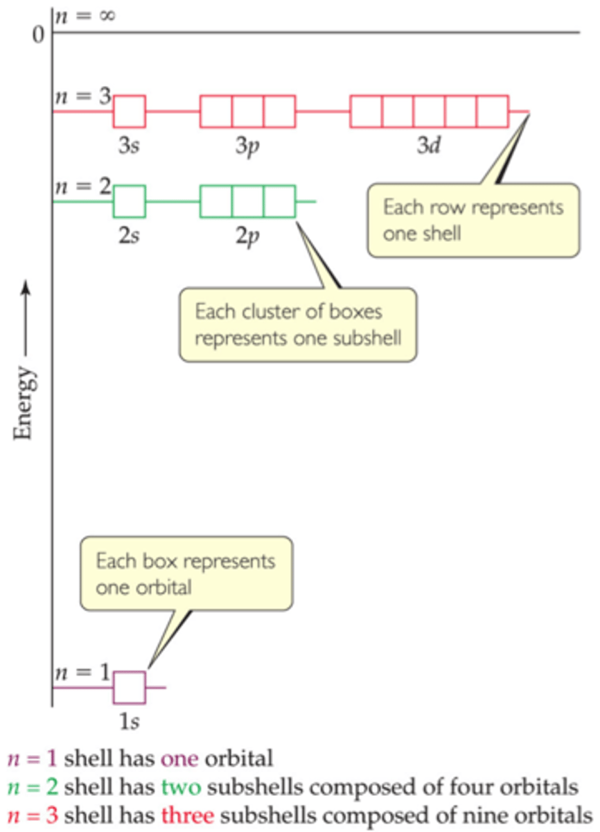 <p>have same n and l values</p><p>designated by a number and a letter</p><p>a shell only contains n number of subshells</p><p>each subshell consists of a specific number of orbitals</p><p>the total number of orbitals in a shell is n^2</p>