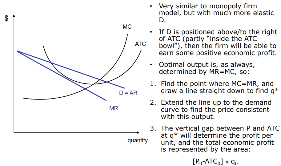 <ul><li><p>same as the monoply firm model but far more <strong>elastic</strong></p></li></ul><p></p>