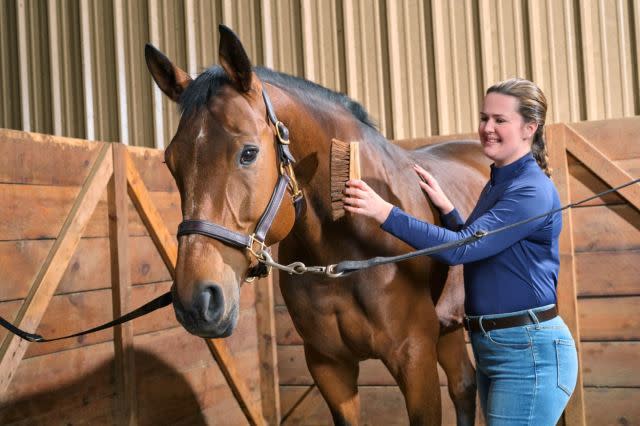 <p>Ensure the horse is secure. Horses must first be groomed with the soft brush/curry comb to release dirt, and then the dirt should be removed with the hard brush before using the hoof pick.</p>