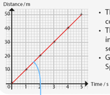 <p>What motion is this?</p>