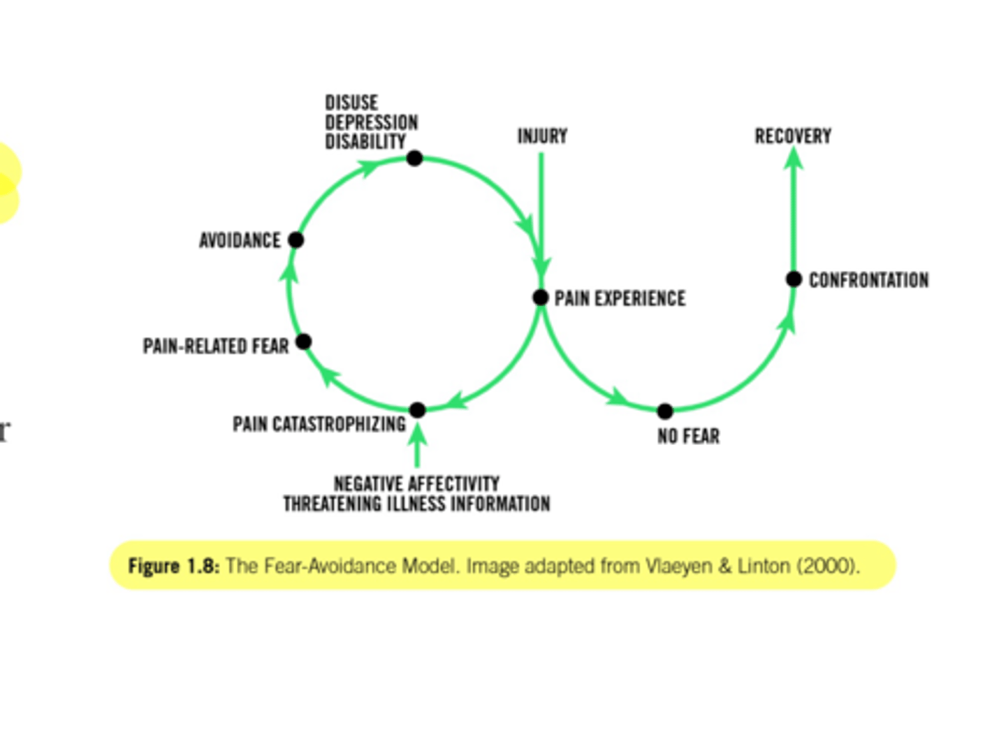 <p>fear of pain leads to avoiding physical or social activities</p><p><span>Should include education that addresses the client’s fear and avoidance behavior while considering a graded approach to therapeutic exercise</span></p><p>ex: persons fear (not physical impairment) is the most important in how they respond to low back pain.</p>