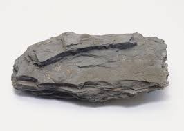 <p>Shale</p>